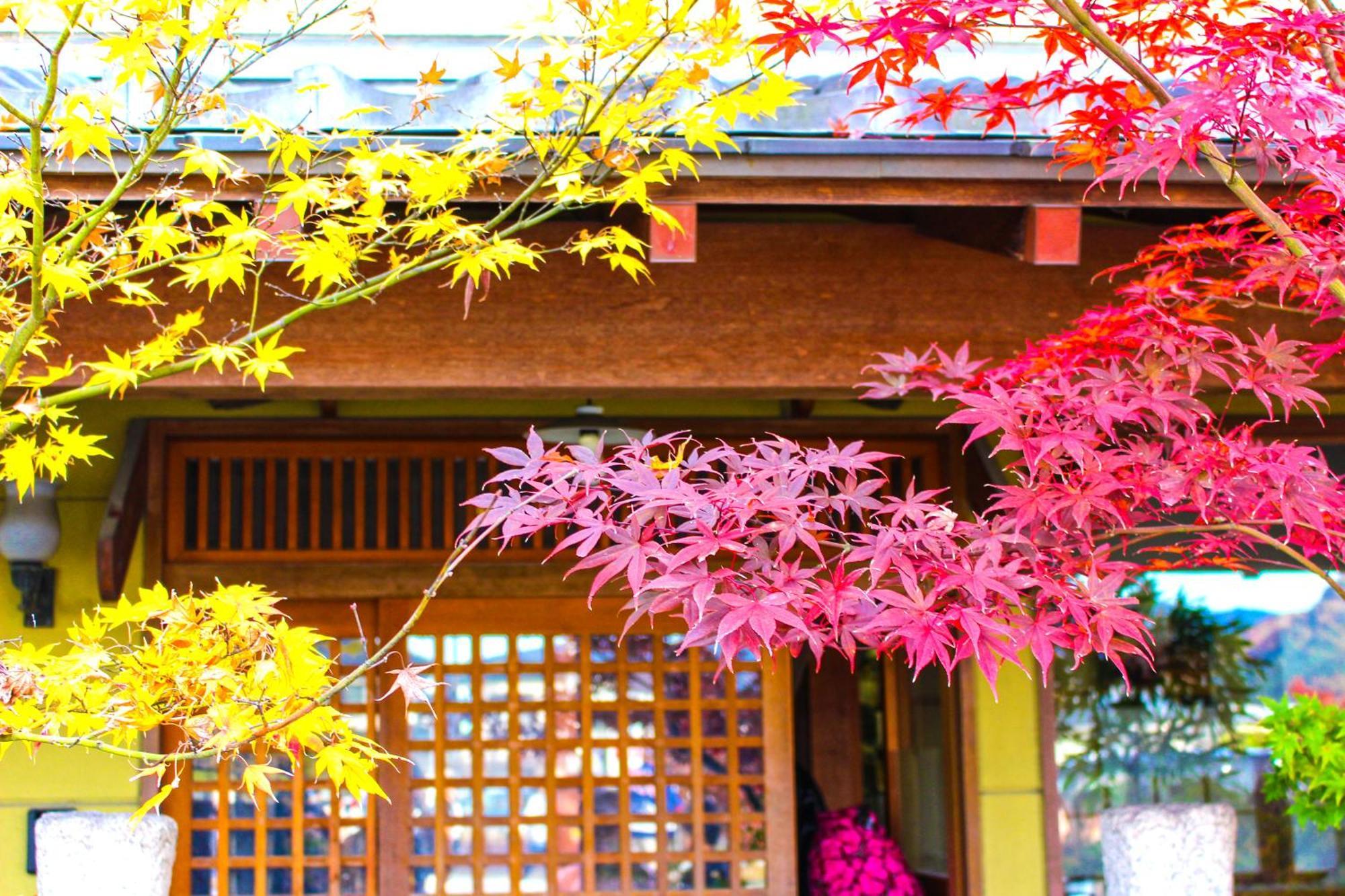 Stay Sakura Kyoto Nijo Castle West I Екстериор снимка